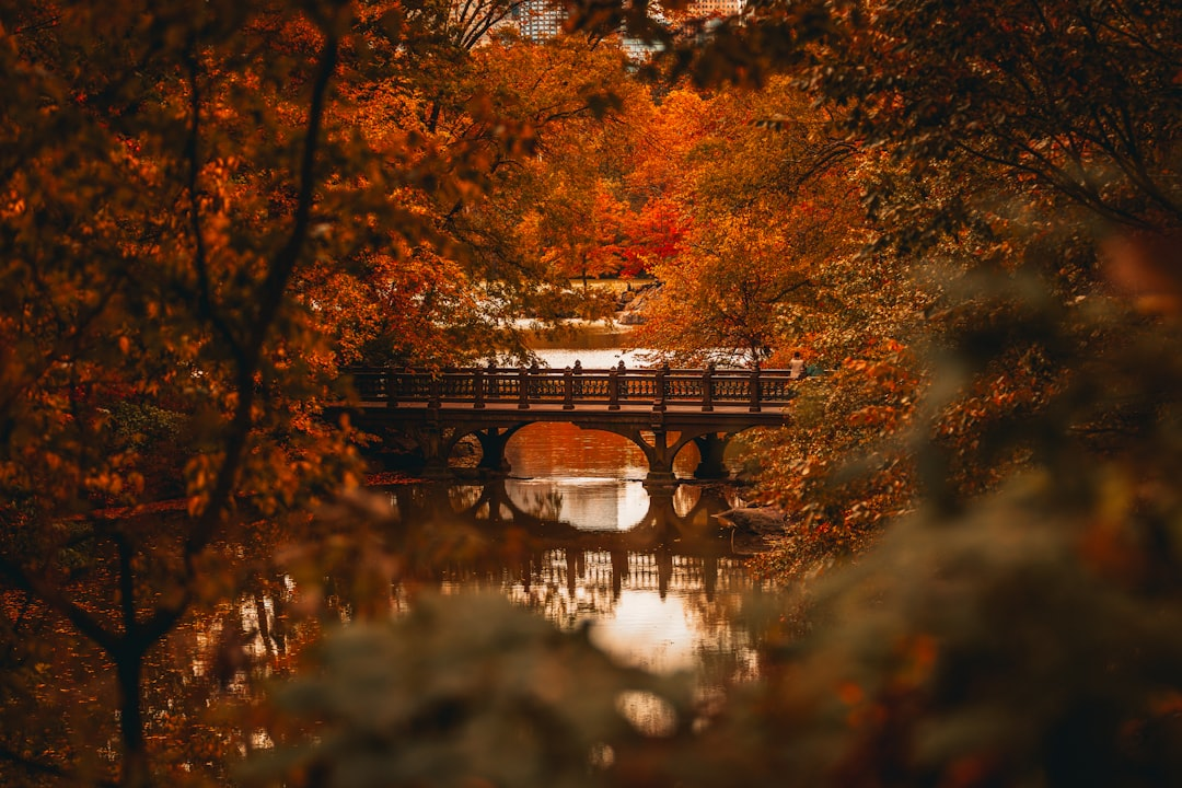 First Day of Fall Quotes: 70 Cozy, Short & Happy Sayings